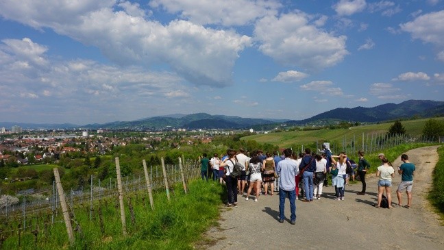 Weinerlebnisführung