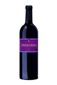 Untitled (200 x 300 px)